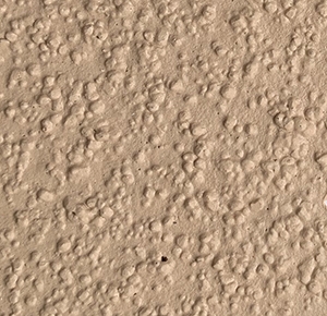 質感砂膠漆